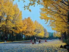 -玲珑塔公园
