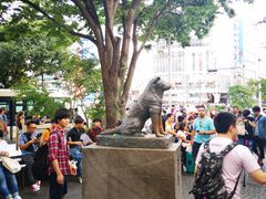 -涩谷区