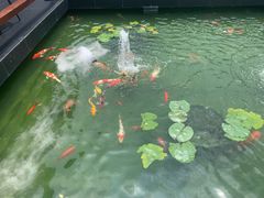 -濮园 · 四合院餐厅