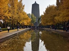 -玲珑塔公园