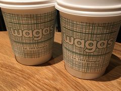 -Wagas沃歌斯(虹桥机场T1店)