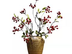 -肯德基(沭阳大润发店)