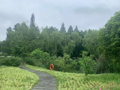 -杭州植物园