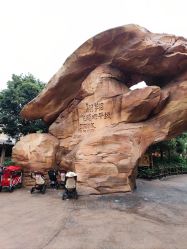 -翱翔飞越地平线