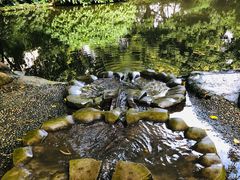 -成都市活水公园