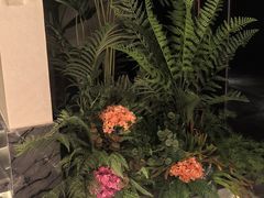 -大逸传奇·足道SPA(天美店)