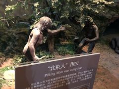 -北京周口店北京人遗址博物馆