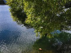 -清溪水库