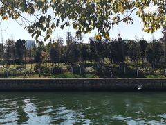 -五甲塘生态湿地公园