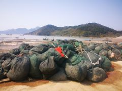 -小皓村
