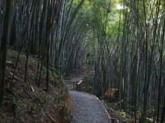-广州市帽峰山景区