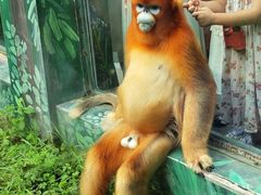 -西安秦岭野生动物园