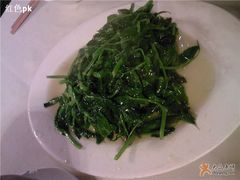 清炒豆苗-龙凤瓦罐煨汤馆(清江东路店)