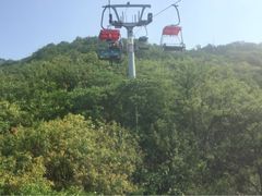 -富斯特索道