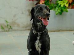 -小意思咖啡店(草桥店)