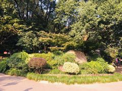 -杭州半山国家森林公园