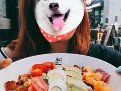 -Famous肥猫墨西哥音乐餐吧(五棵松华熙LIVE店)