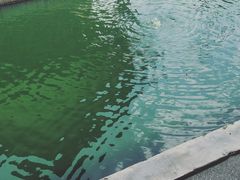 -水都餐厅