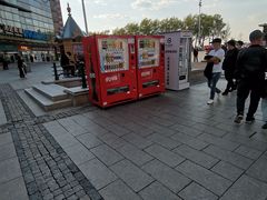 -人民防洪胜利纪念塔