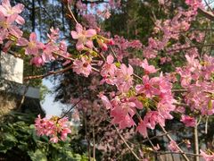 -乌山风景区