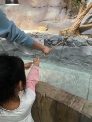 -Zoolung Zoolung动物主题公园(海信广场店)