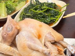 -吉英盐焗鸡(文中路店)