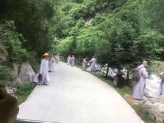 -少华山国家森林公园