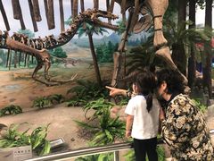-延庆地质公园博物馆