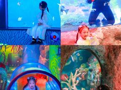 -沈阳海洋探索中心