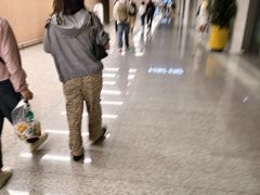 -青岛胶东国际机场