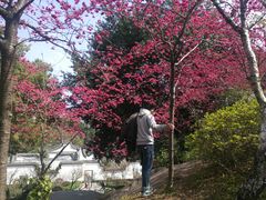 -乌山风景区
