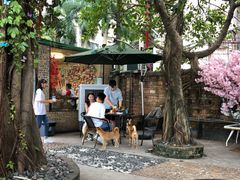 大堂-柴犬高等学院·狗咖·柴犬售卖·宠物训练