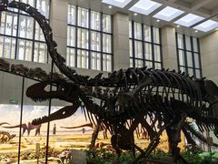 -广西壮族自治区博物馆