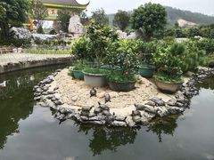 -八景休閒山莊  廣東十大名山莊