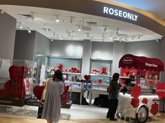 -ROSEONLY诺誓(广州K11店)