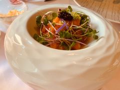 -蝶舍·MAISON PAPILLON