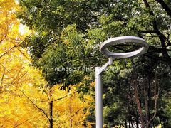 -西北湖绿化广场