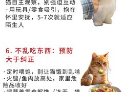 -宠福鑫动物医院·动物疾病诊疗中心(天通苑店)