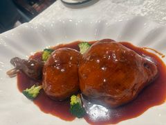 -丁老爷子苏香圆
