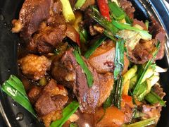 红烧羊肉-壹只菜·崇明本地特色菜(崇明南门店)