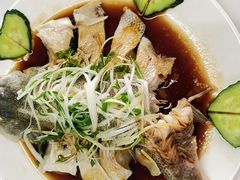 -田螺阿姨自营月嫂·育儿嫂(高新店)