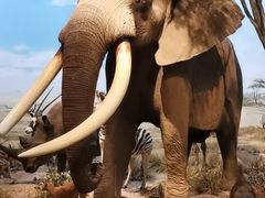 -陕西自然博物馆