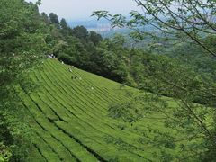 -敬亭山风景名胜区
