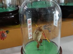 -平原博物院