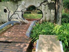 -番禺大夫山森林公园