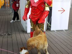 -东浩兰生上海世博展览馆