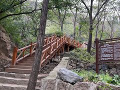 -大岭沟猕猴桃谷风景区