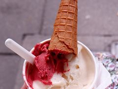 -Dip in Gelato(富民路店)