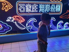-石家庄海洋公园