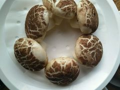 -大食家餐厅(五星步行商业街店)